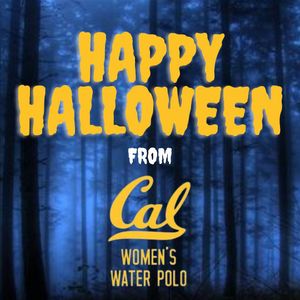 Image post by @calwwpolo on Instagram