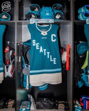 Image post by @pwhl_torrent on Instagram