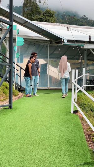 Video post by @aylaaniq on TikTok