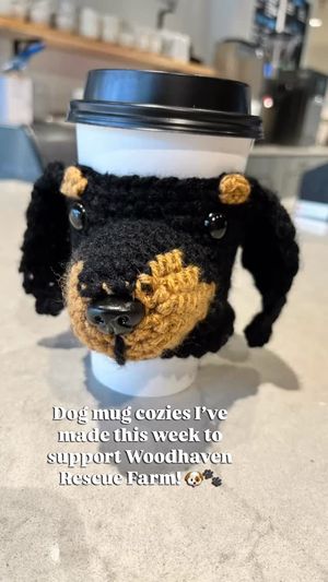 Video post by @Ali Acosta Crafts on Facebook