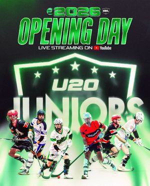 Image post by @nationalballhockeyleague on Instagram