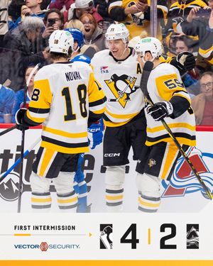 Image post by @penguins on Twitter