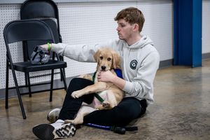 Image post by @pennstate on Instagram