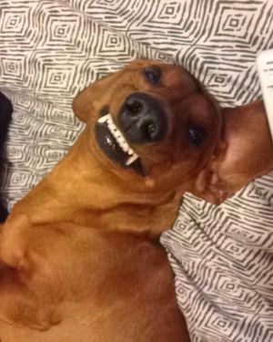 Image post by @me_mora on Instagram