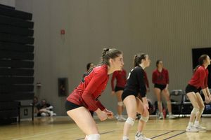 Image post by @PLAvolleyball on Facebook