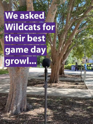 Video post by @kstateofficial on TikTok