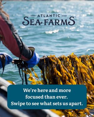Image post by @atlanticseafarms on Instagram
