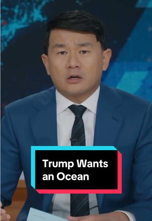 Video post by @thedailyshow on TikTok
