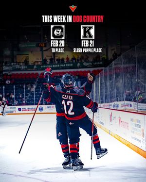 Image post by @ohlicedogs on Instagram