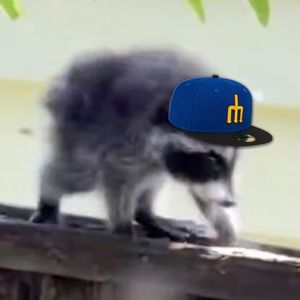 Image post by @mariners on Instagram