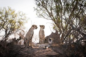 Image post by @guybrunskillphoto on Instagram