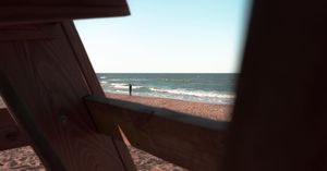 Image post by @laneahartwell on Instagram
