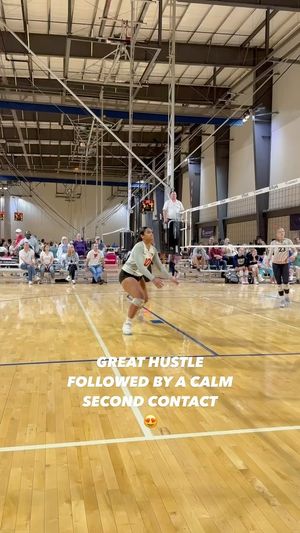 Video post by @PLAvolleyball on Facebook