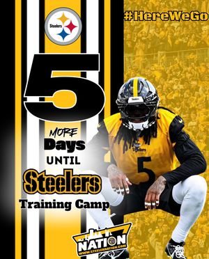 Image post by @steelernationcom on Instagram