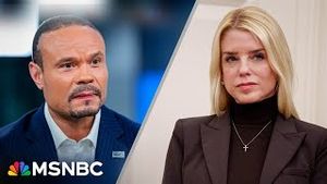 Video post by @msnbc on YouTube