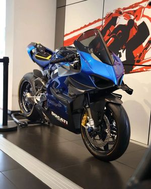 Image post by @panigalers on Instagram