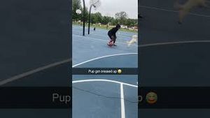 Video post by @houseofhighlights on YouTube