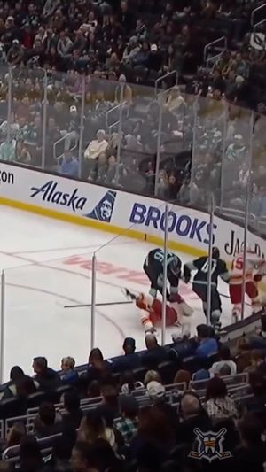 Video post by @hockeyfights on Instagram