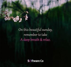 Image post by @softwareco on Instagram