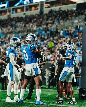 Image post by @panthers on Instagram