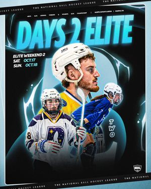 Image post by @nationalballhockeyleague on Instagram
