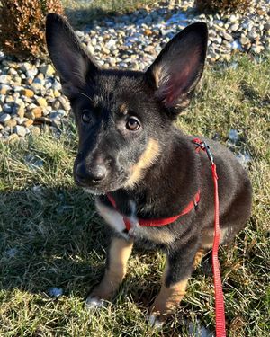 Image post by @losingthejigglewithjen on Instagram