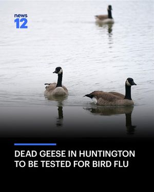 Image post by @news12li on Instagram