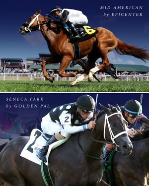 Image post by @coolmoreamerica on Instagram