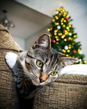 Image post by @canonusa on Instagram