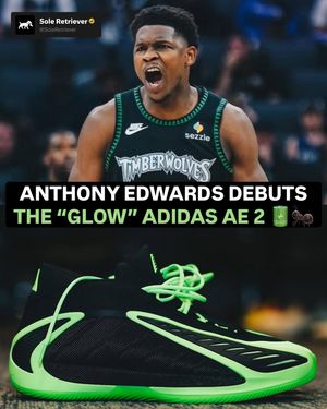 Image post by @soleretriever on Instagram