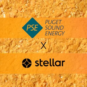 Image post by @stellaragency on Instagram
