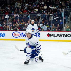 Image post by @torontomarlies on Instagram
