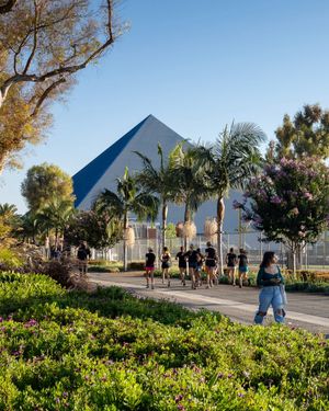 Image post by @csulongbeach on Instagram