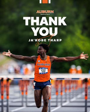 Image post by @auburntfxc on Instagram