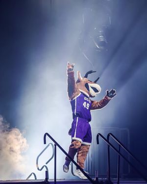 Image post by @abigailsphotographyy on Instagram