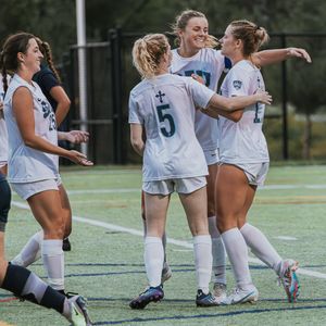 Image post by @saubees on Instagram