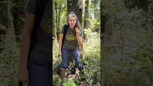 Video post by @annathearcher on YouTube