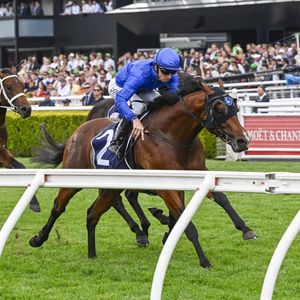 Image post by @godolphin on Instagram
