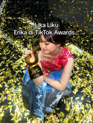Image post by @erikarichardo on TikTok