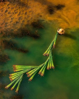 Image post by @droneartgallery on Instagram