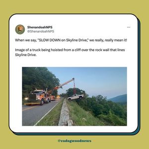 Image post by @vadogwoodnews on Instagram