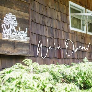 Image post by @the_orchard_cashiers on Instagram