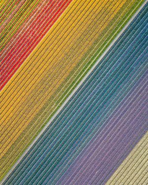 Image post by @fubiz on Instagram