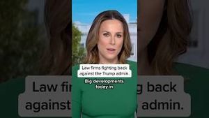 Video post by @msnbc on YouTube