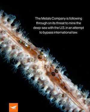 Image post by @sealegacy on Instagram