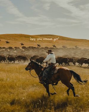 Image post by @travelsouthdakota on Instagram
