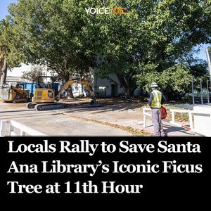 Image post by @voiceofoc on Instagram