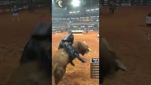 Video post by @pbr on YouTube