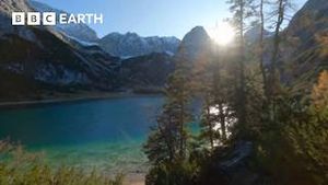 Video post by @bbcearth on YouTube