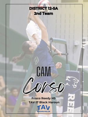 Image post by @tavvolleyball on Instagram